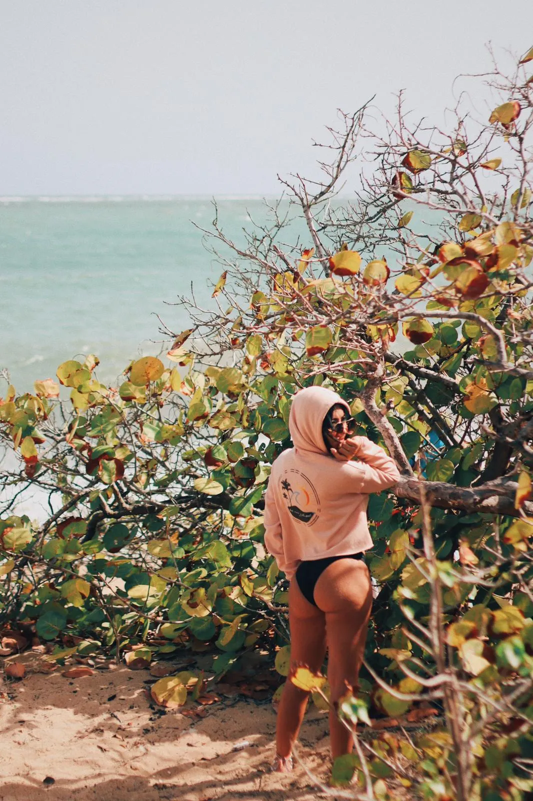 Del Mar y el Sol Crop Hoodie Sweater