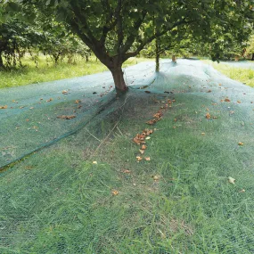 Elaion - Olive & Nut Collection Netting