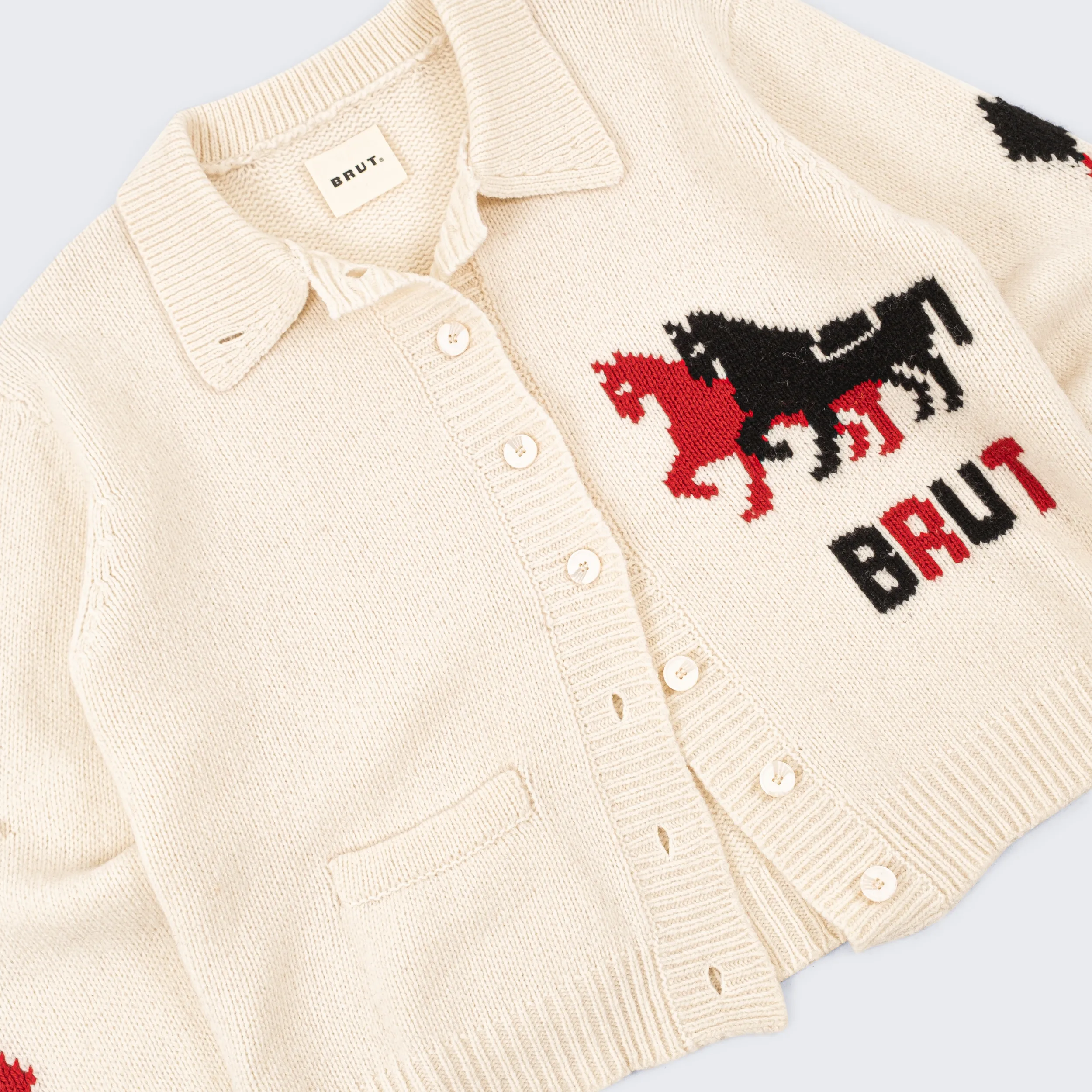 THE HORSES SWEATER