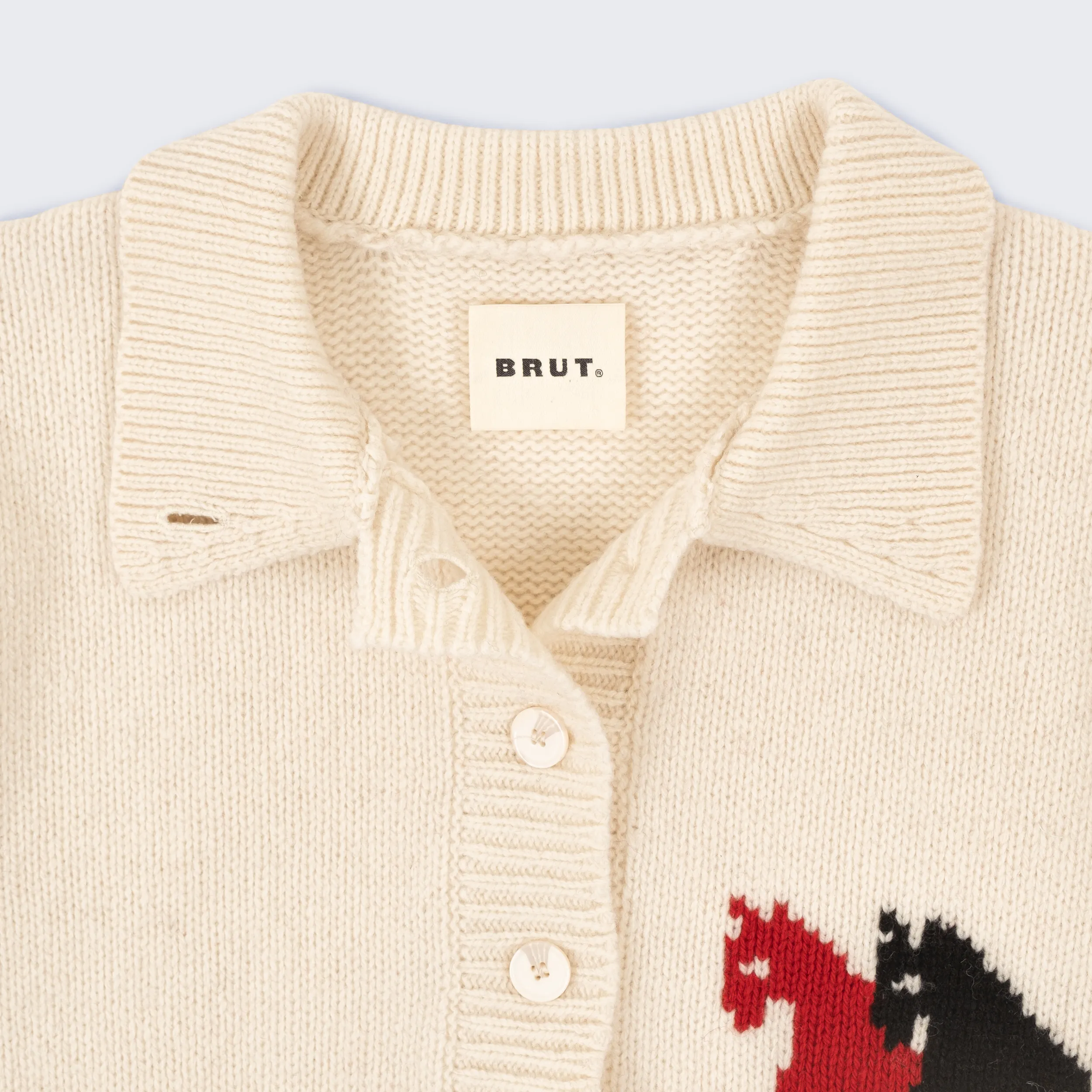 THE HORSES SWEATER